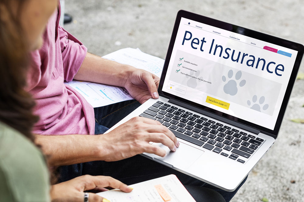 9 common mistakes to avoid before buying pet insurance